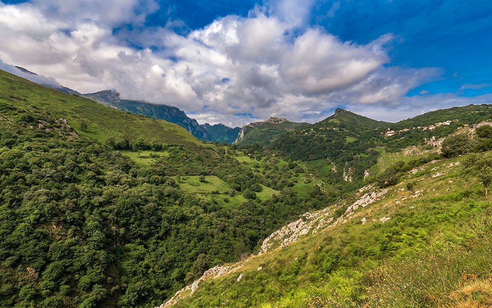 Biodiversidade - áreas verdes e seu papel na preservação