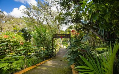 hotel-internacional-gravatal-33